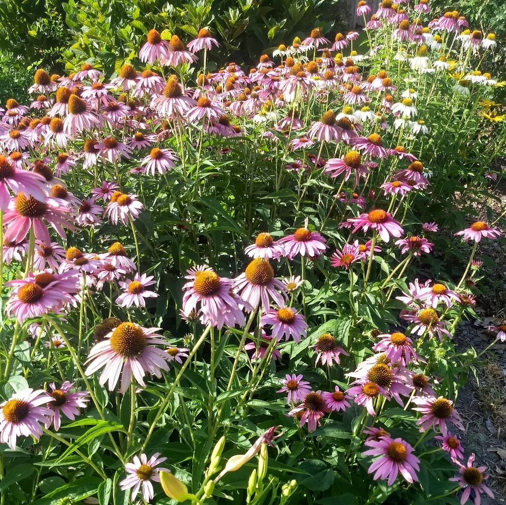 Reasonable Offers Welcome!